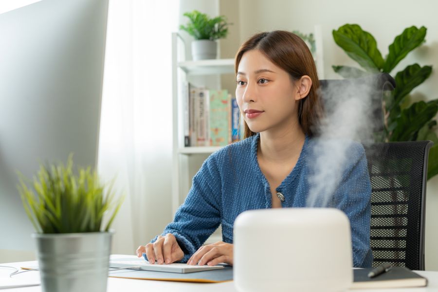 A woman working on a computer with a diffuser going.
